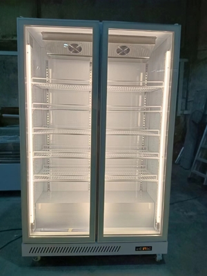R290 Soğutucu ile 1000L Ticari Cam Kapı Soğutucusu Dikey Buzdolabı