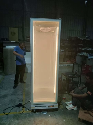 R290 Tek Kapılı Dikey Buzdolabı Ticari İçecek Ekranı Buzdolabı