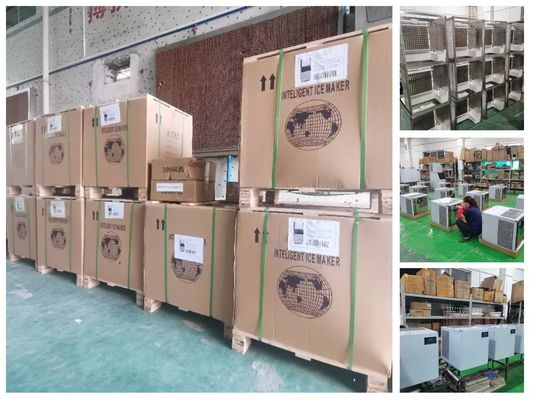 Commercial Ice Cube Machine 910KG Daily Output 480KG Storage