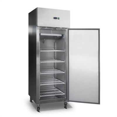 Otel İçin 600 * 800 * 2000mm Tek Kapılı Buzdolabı Dondurucu