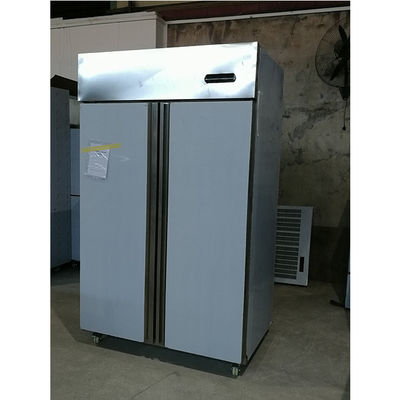 Yxfridge Çift Kapılı Paslanmaz Çelik Ticari Dondurucu