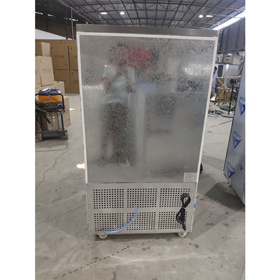 110V 60Hz 2400W 10 Tavalar Ticari Şok Dondurucu Fan Soğutma